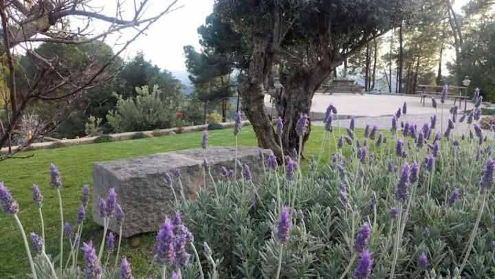 فيلا Quinta Da Idalina مونشيك المظهر الخارجي الصورة