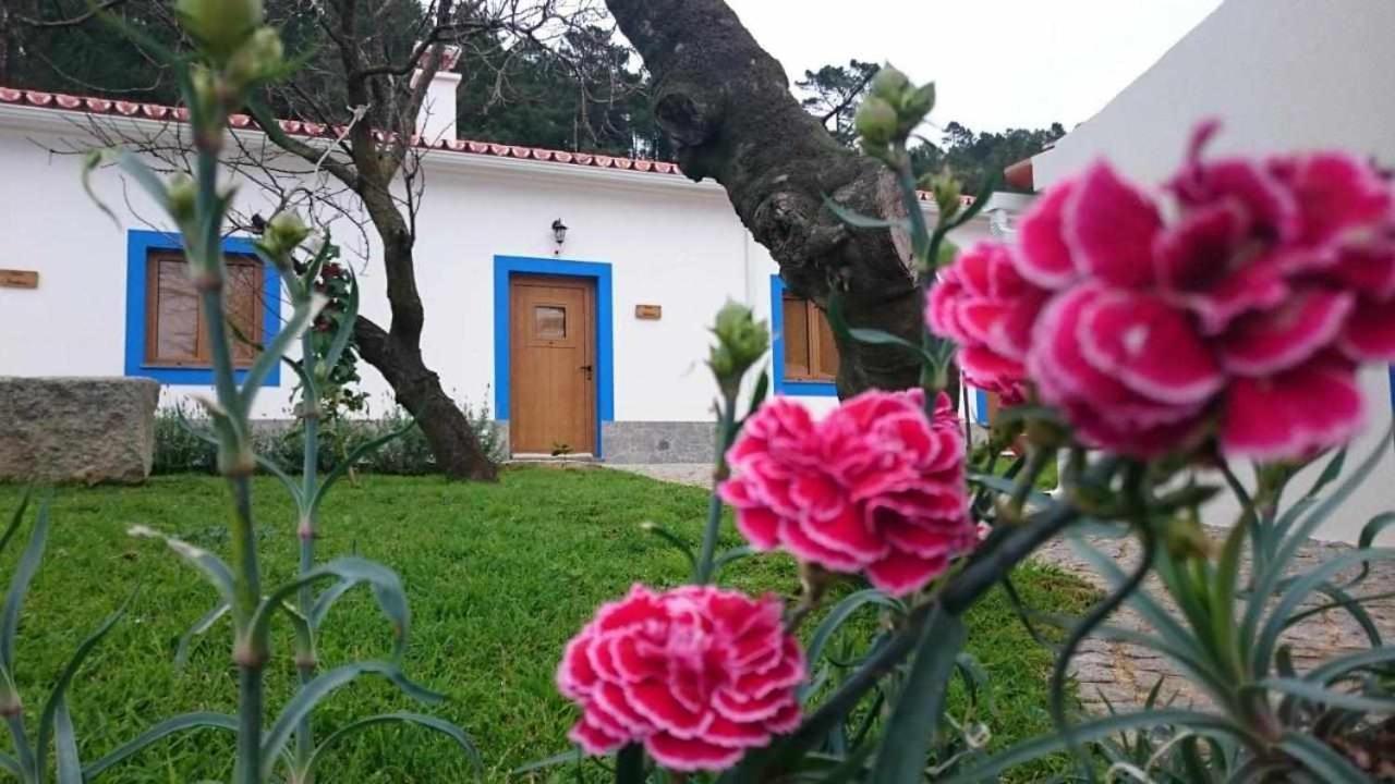 فيلا Quinta Da Idalina مونشيك المظهر الخارجي الصورة