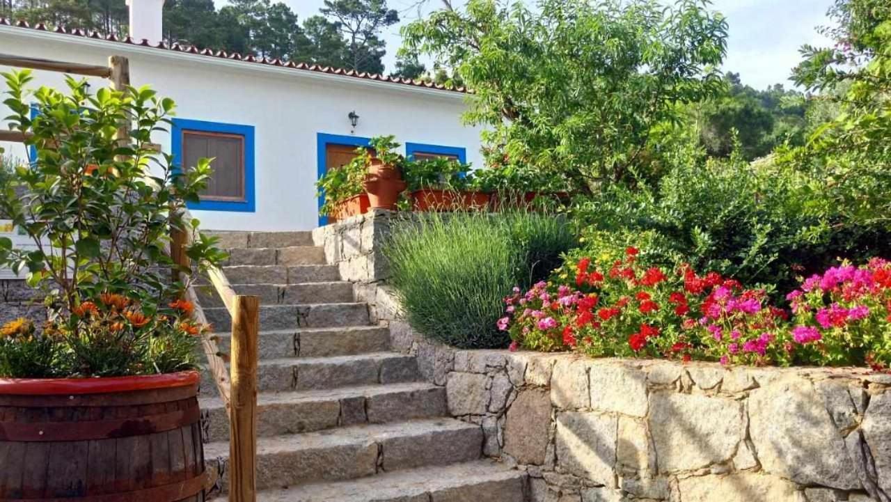 فيلا Quinta Da Idalina مونشيك المظهر الخارجي الصورة