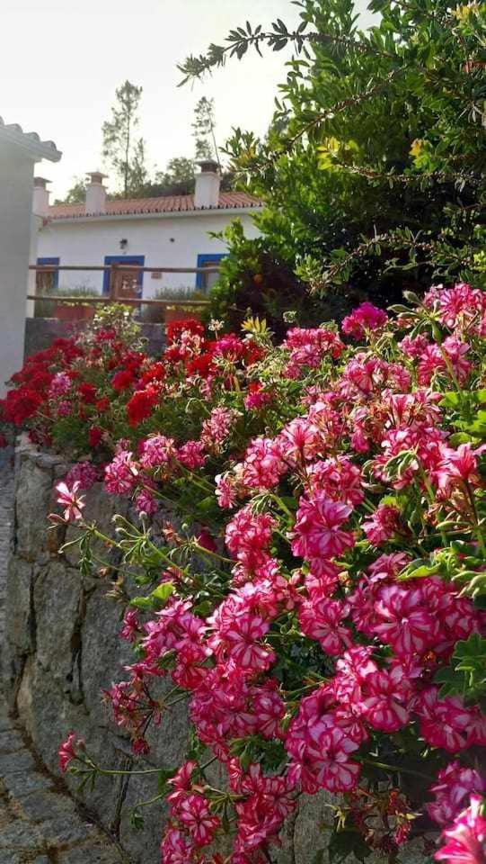 فيلا Quinta Da Idalina مونشيك الغرفة الصورة